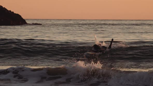 Surfer Lying On Board In Waves alt