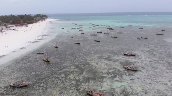 Lot Fishing Boats Stuck in Sand Off Coast at Low Tide Zanzibar Aerial View alt