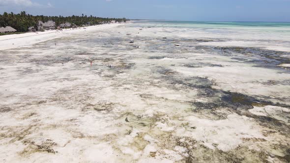 Ocean Low Tide Near the Coast of Zanzibar Island Tanzania alt