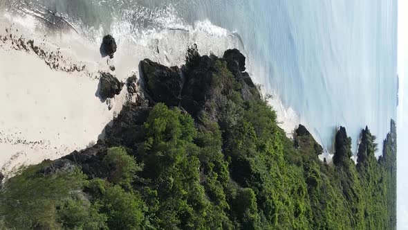 Zanzibar Tanzania  Ocean Shore Covered with Green Thickets Vertical Video Aerial View alt