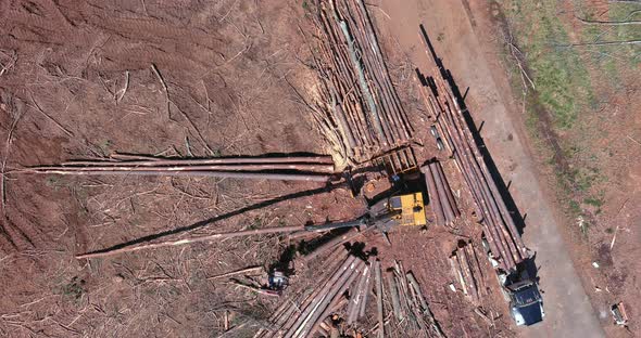 Crane Hydraulic Grab Log Loader During Clearing Forest for New Subdivision Development alt