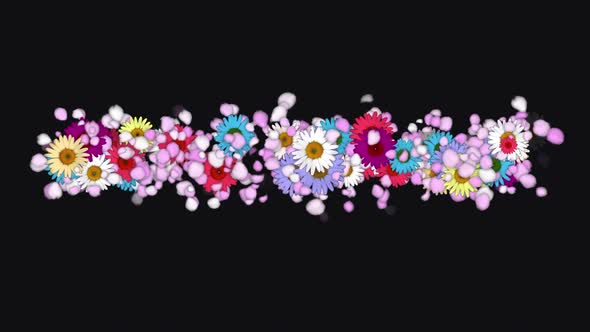 Title Plate Flowers - Colorful Gerberas and Rose Petals