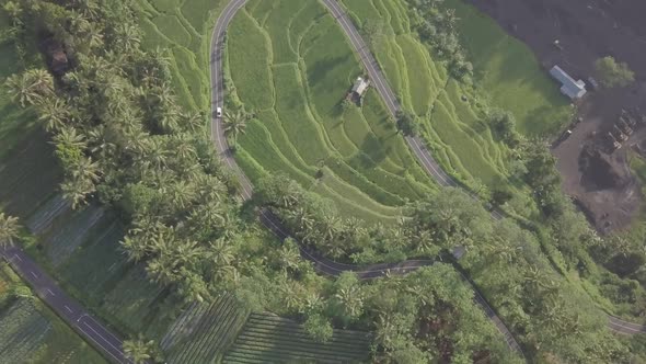 Flying Over the Ricefield and Hills
