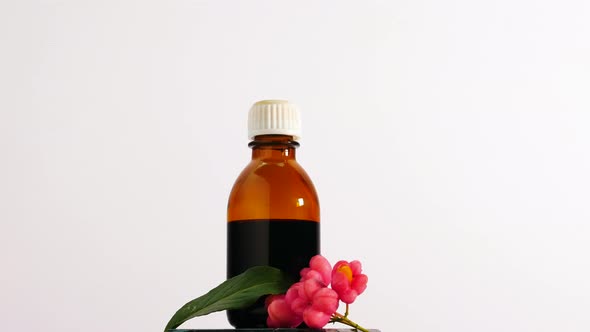 Eonymus Berry In The Form Of Oil Or Liquid Medicine In A Glass Jar. Homeopathy Healing Medicines