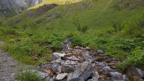 Stream in Mountain Gorge