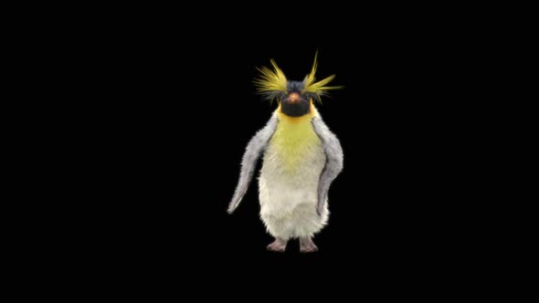 Penguin Dancing HD alt