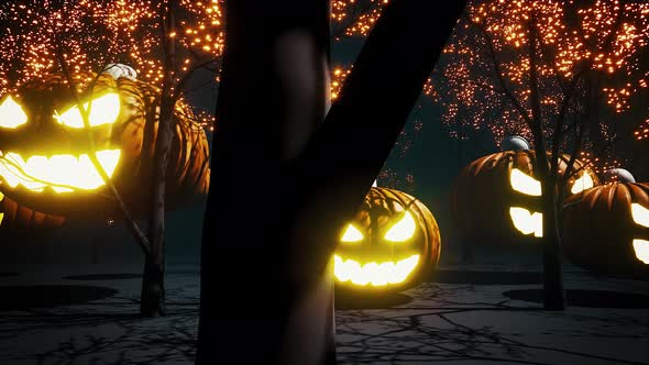 Halloween Scary Grove 4k