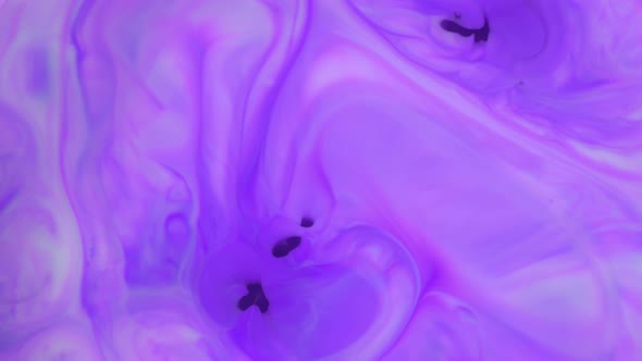 Ink in Water. Purple Ink Reacting in Water Creating Abstract Background