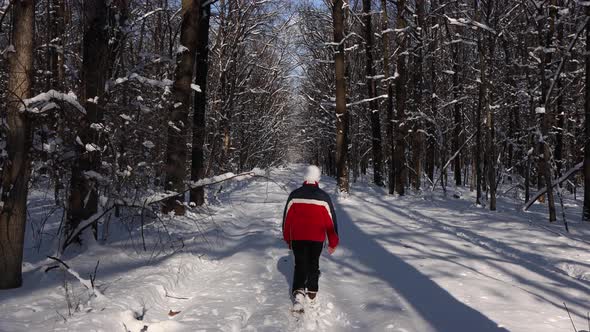 A boy in a red jacket walks through the winter forest. alt