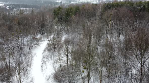 Path in winter forest, aerial view with white snow