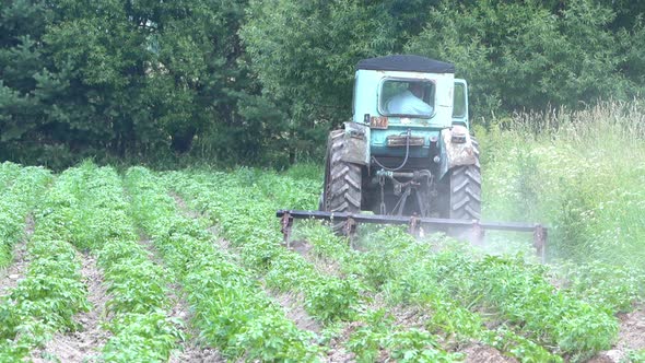 Agricultural Work on a Tractor Mechanized Potato Processing Potato Plowing
