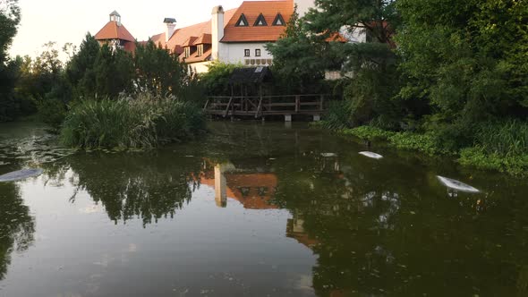 Pond with reeds and waterlilies with a wooden pier below a chateau. alt