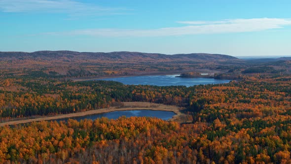 Aerial View of the Autumn Forest Around the Lake