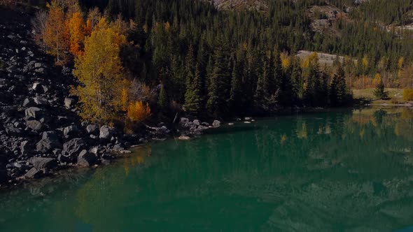 Lake shore grass woods approach 02 alt