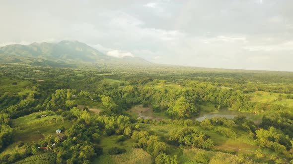 Beautiful Landscape Fruit Plantation and Farming Field on Green Mountain Background. Drone View alt