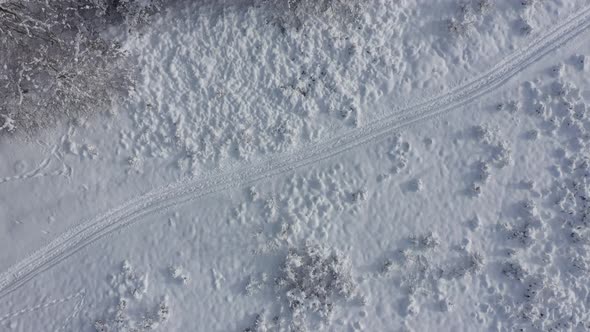 Ascending above forest scenery by winter 4K aerial footage alt