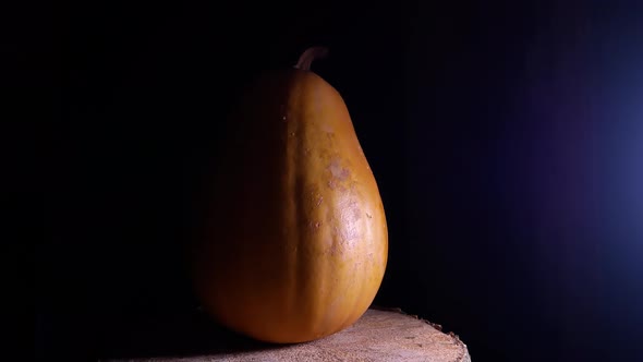 Orange pumpkin vegetable rotates in the dark.