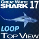 Shark 17 Top View - VideoHive Item for Sale