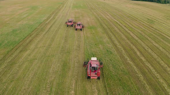 Thee Harvester Combines Harvesting Crops on Green Field of Farm Aerial View alt