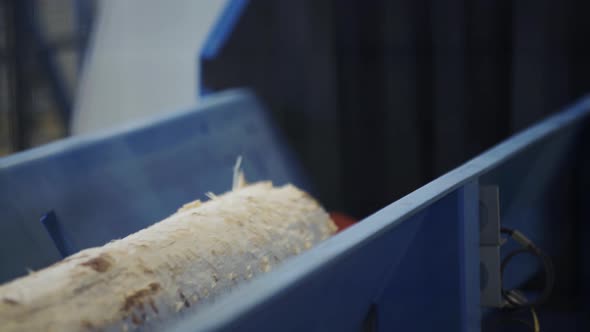 Industrial Interior at a Modern Sawmill. Production of Timber From Wood. Woodworking. Machining Logs alt