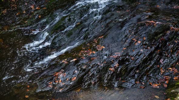 River And Slate, Ardennes, Belgium alt