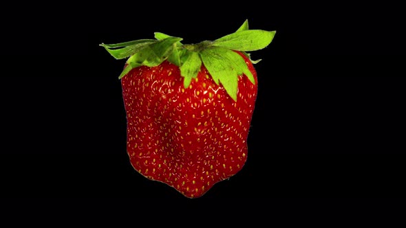Rotating Isolated Strawberry alt
