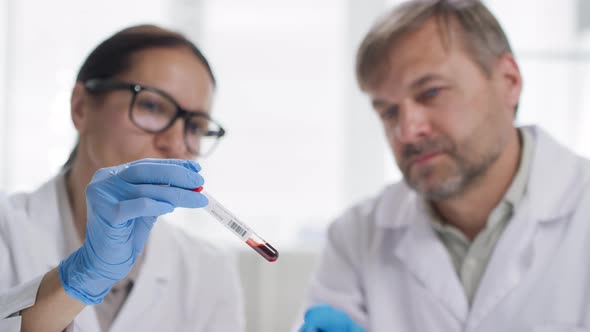 Scientists Studying Blood Sample and Talking, Stock Footage | VideoHive