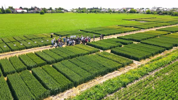 A Group of Farmers are Able to Continue Cultivating Varieties of Wheat and Wheat on Previous alt