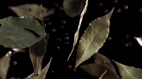 Super Slow Motion Shot of Flying Mix Spices Bay Leaf and Black Pepper in Black Background alt