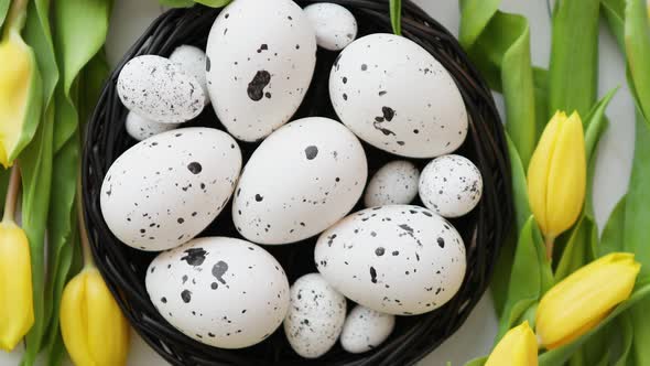 Beautiful Yellow Tulips with Dotted Quail and Chicken Eggs in Nest on White alt