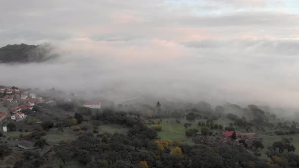 Foggy Town Morning