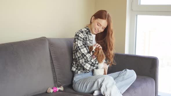 Happy Young Woman is Sitting on a Cozy Sofa Enjoying a Game with a Cute Little Dog in the Apartment