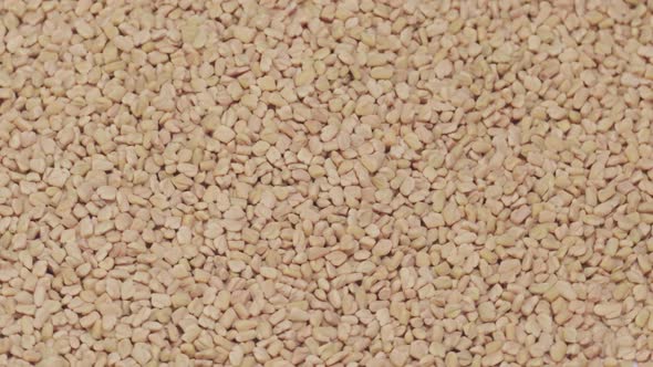 Fenugreek Seeds Background alt