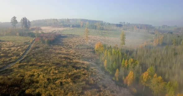 Aerial view of autumn countryside, traditional fall landscape