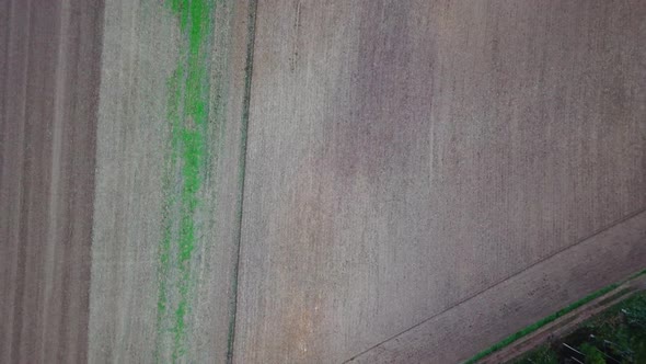 Skyview of fresh harveste Agriculture - Germany Dezember "18 alt