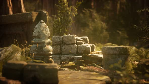 Hoary Ruins of Ancient City in Pine Forest alt