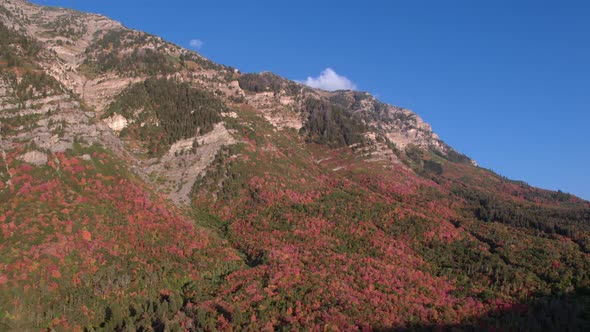 Aerial view of colorful foliage on mountain side agains blue sky alt