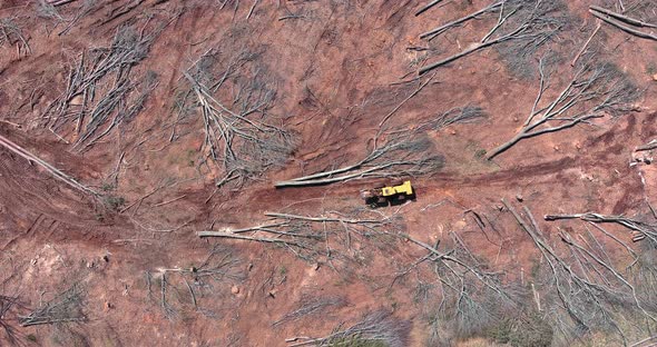 Forklift Truck for Forestry Work During Clearing Forest for New Development Construction alt