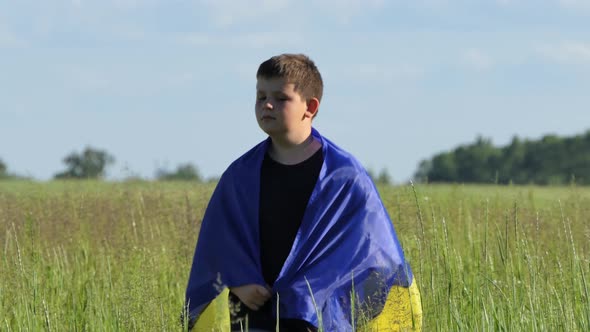 The Yellowblue Ukrainian Flag in the Hands of a Boy Walking Against the Background of a Green Field alt