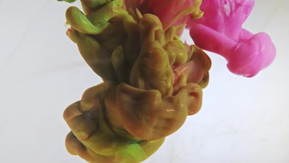 Colorful Nacreous Paint in Water Against White Background alt