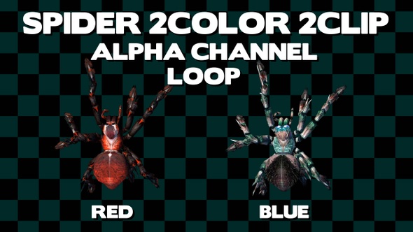 Spider 2Color Alpha Loop