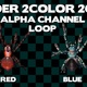 Spider 2Color Alpha Loop - VideoHive Item for Sale