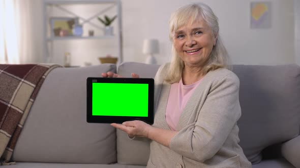 Smiling Mature Lady Holding Green Screen Tablet in Hands, Easy Banking, Shopping alt