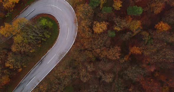 Flying Along Curvy Road in Autumn Forest 4K