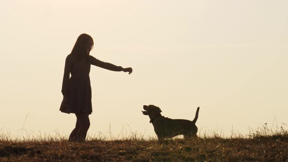Silhouettes of Adorable Girl Training a Dog and Feeding It on the Nature alt