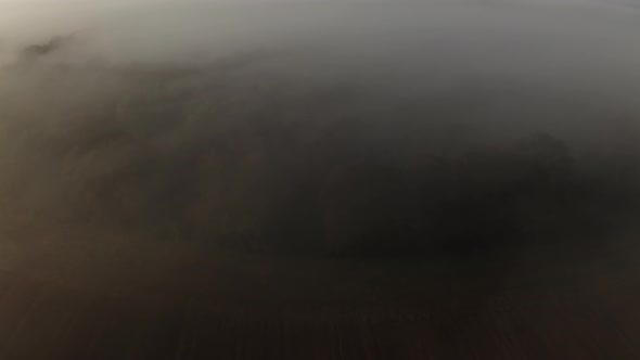 Drone Over Forest In Morning Mist