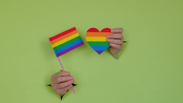 lgbt symbol in hand, on a green background