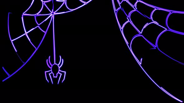 Abstract seamless animation of 4K neon lines Animation of Halloween spider on a black background.