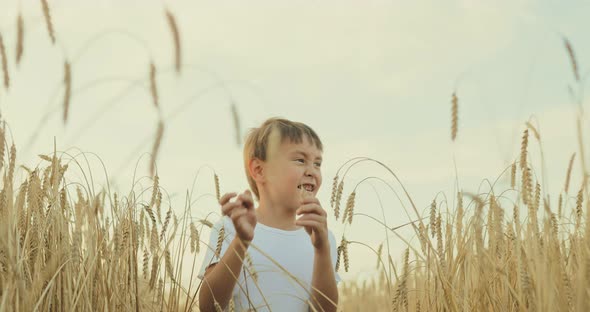 Cute Boy Steps Through Tall Ears of Wheat