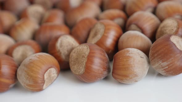 Panning on ripe hazelnuts on white background  4K 2160p 30fps UltraHD footage - Nuts of the species  alt